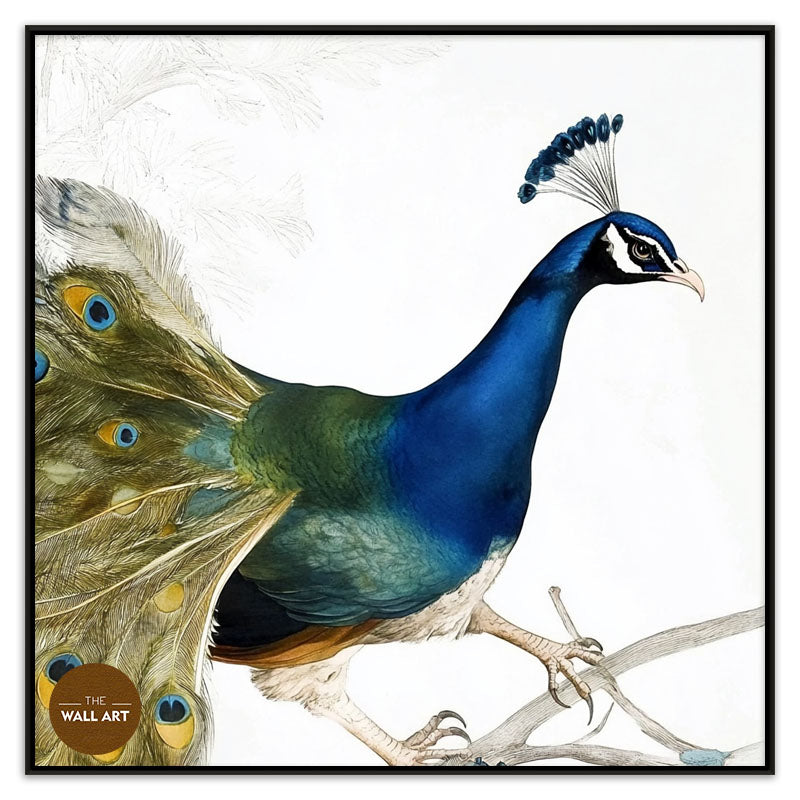 PEACOCK ON BRANCH
