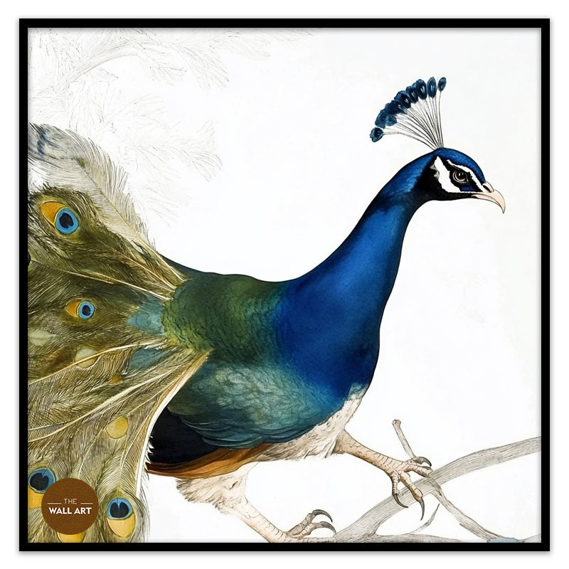 PEACOCK ON BRANCH