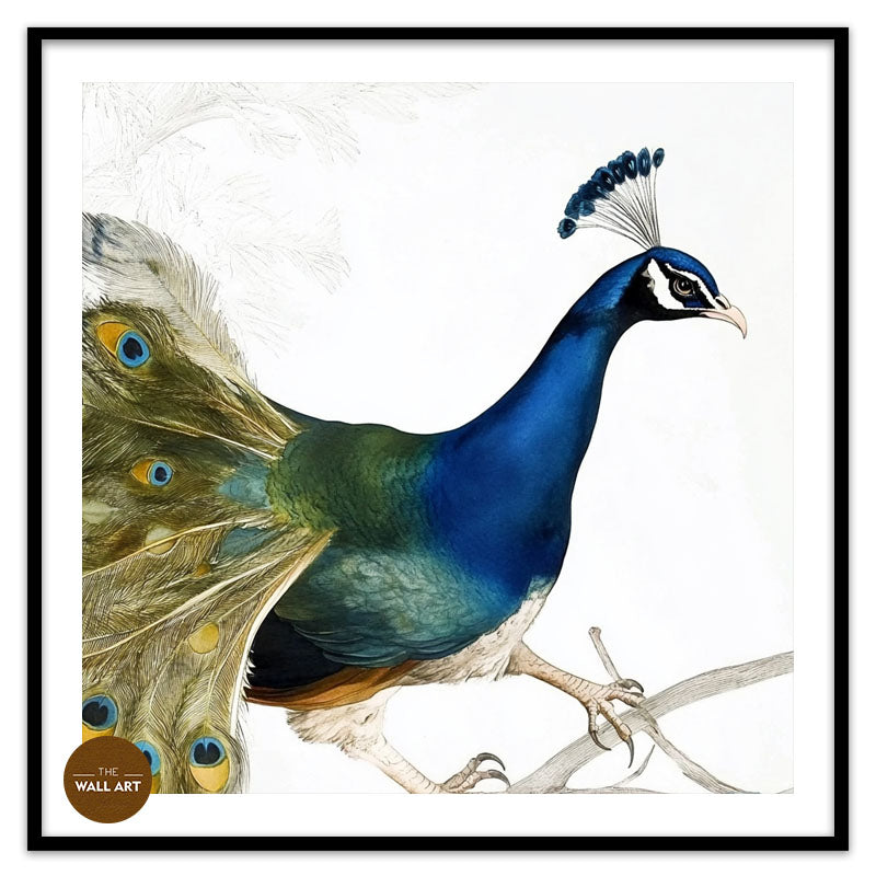 PEACOCK ON BRANCH