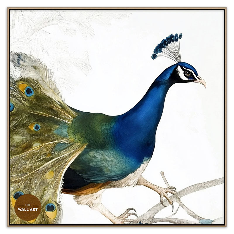 PEACOCK ON BRANCH