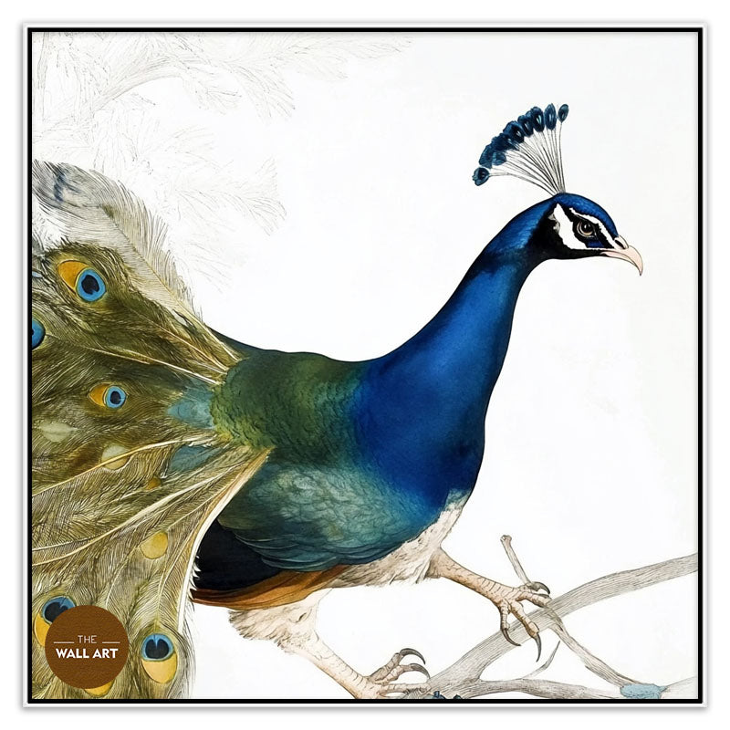 PEACOCK ON BRANCH