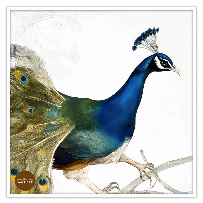 PEACOCK ON BRANCH