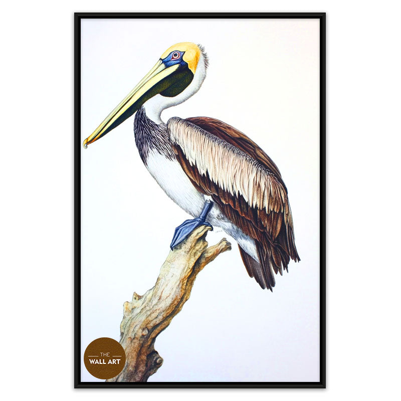 PELICAN ON BRANCH
