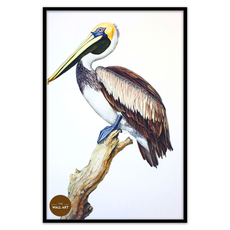 PELICAN ON BRANCH