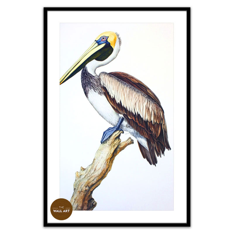 PELICAN ON BRANCH