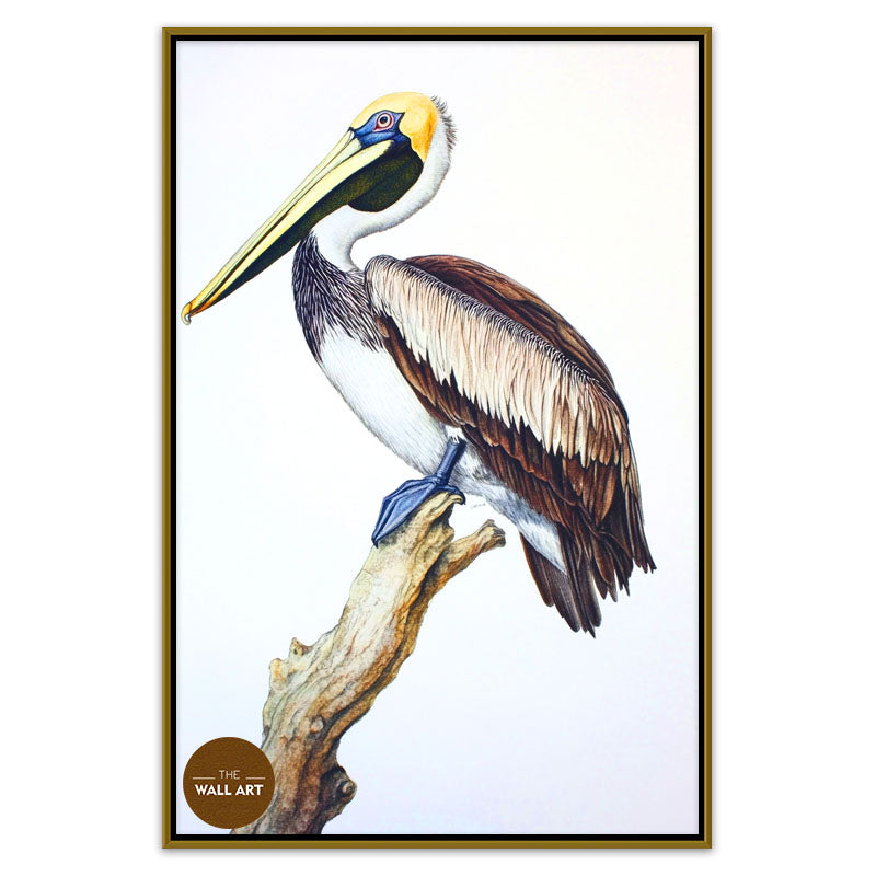 PELICAN ON BRANCH