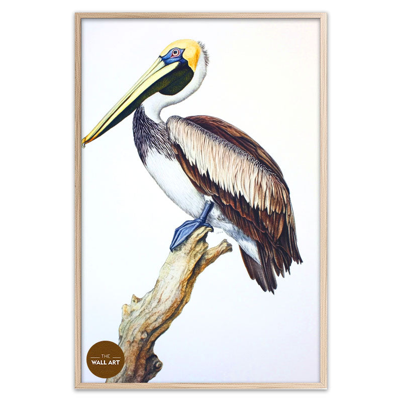 PELICAN ON BRANCH