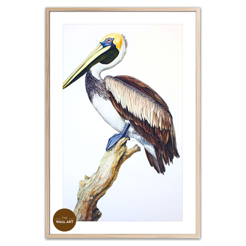 PELICAN ON BRANCH