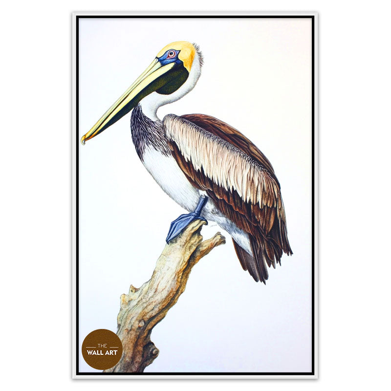 PELICAN ON BRANCH