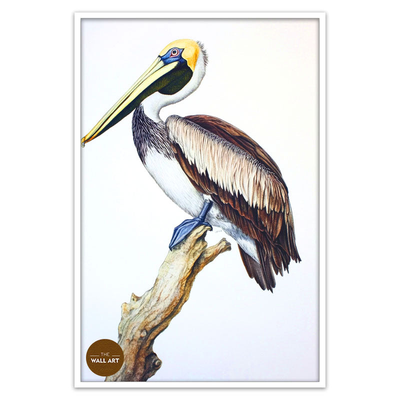 PELICAN ON BRANCH