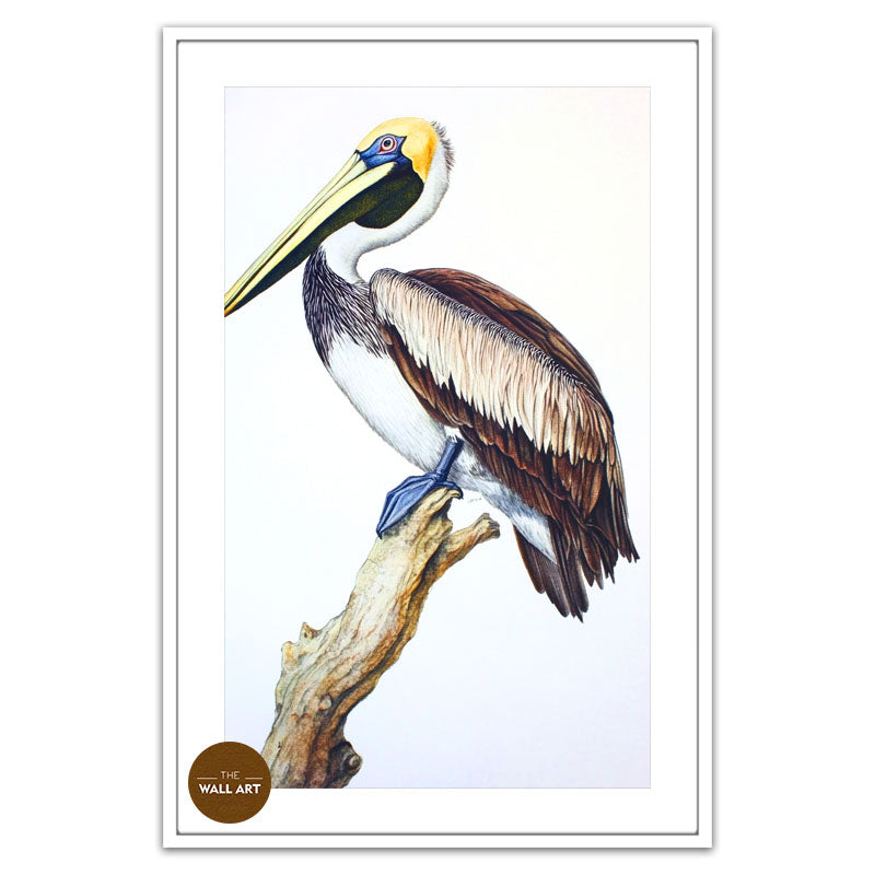 PELICAN ON BRANCH