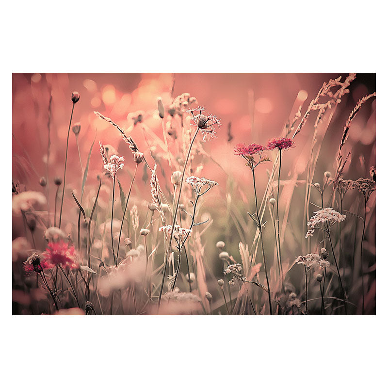 PINK SUNSET I