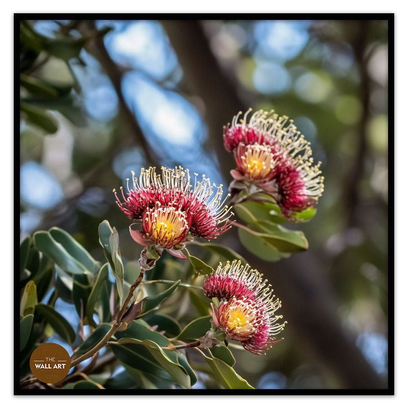 PROTEA FLOWERS BRANCH
