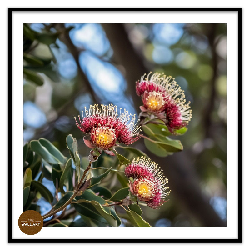 PROTEA FLOWERS BRANCH