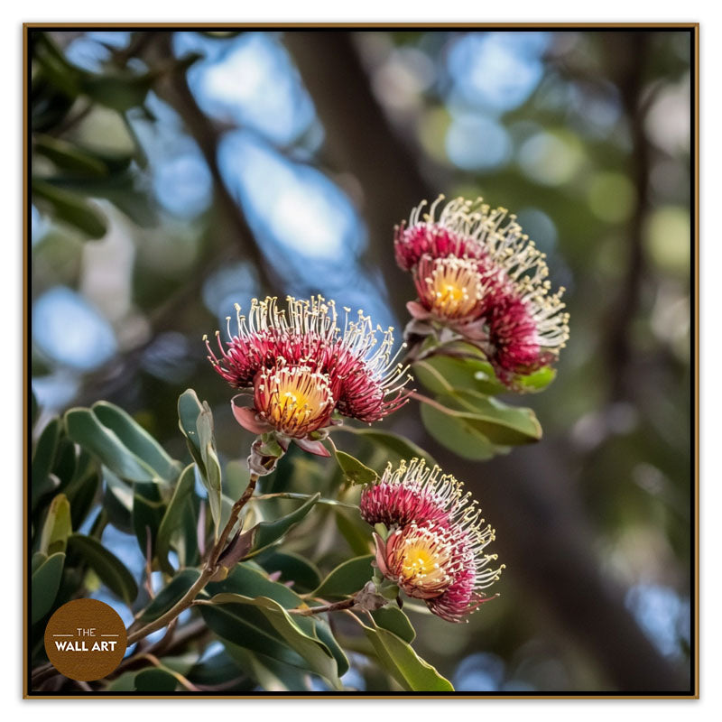 PROTEA FLOWERS BRANCH