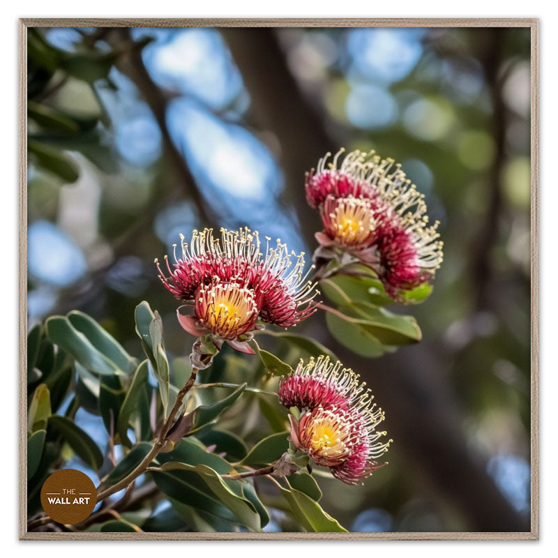 PROTEA FLOWERS BRANCH