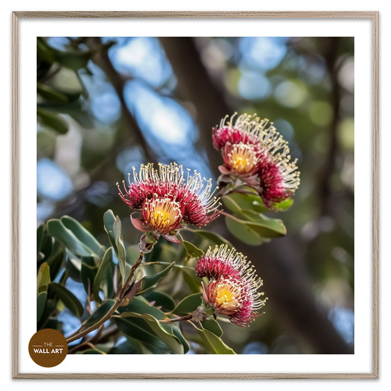 PROTEA FLOWERS BRANCH