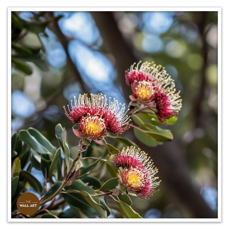 PROTEA FLOWERS BRANCH