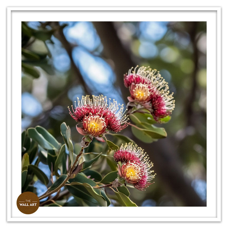 PROTEA FLOWERS BRANCH