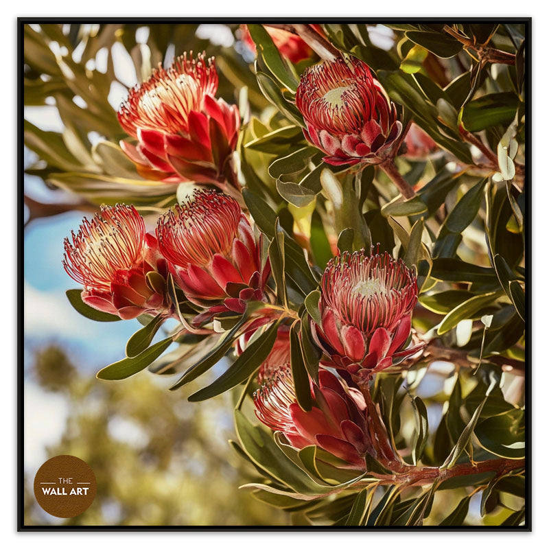 PROTEA IN THE TREE