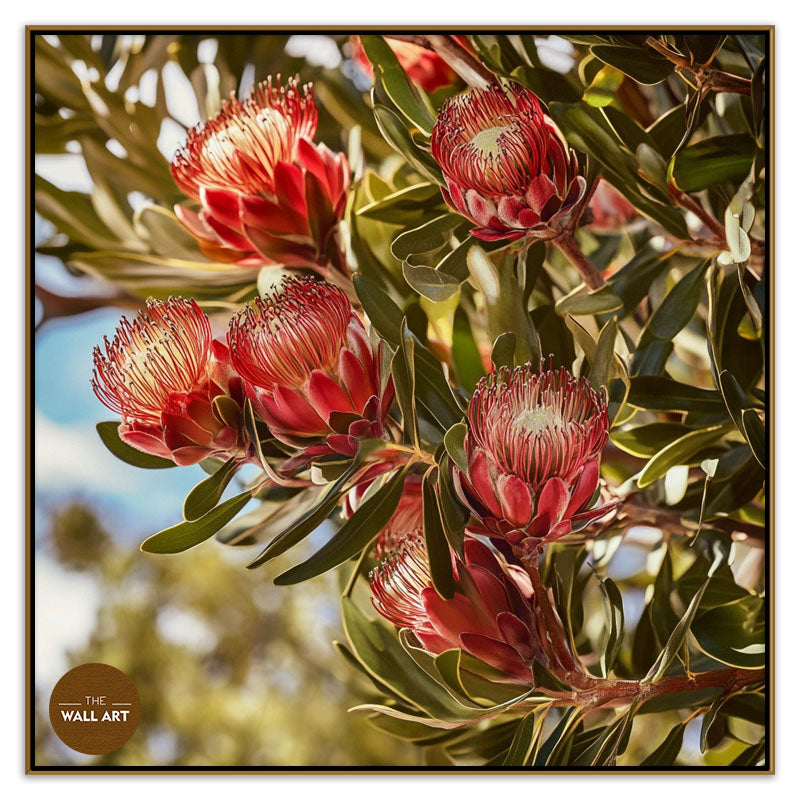 PROTEA IN THE TREE