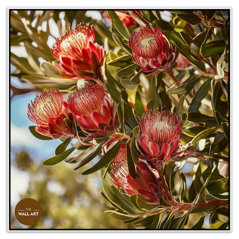 PROTEA IN THE TREE