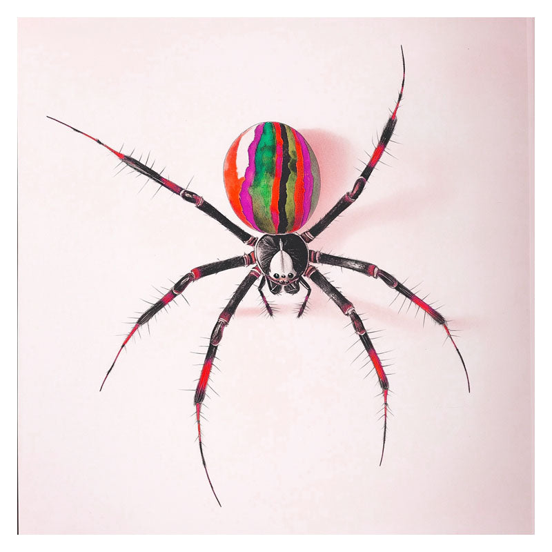 RAINBOW SPIDER
