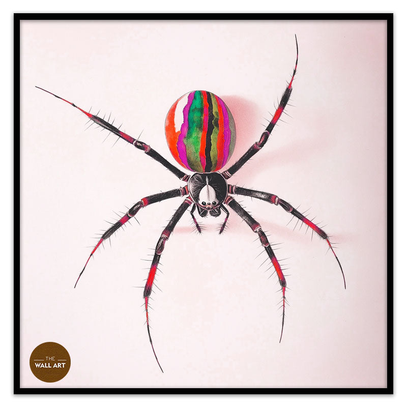 RAINBOW SPIDER