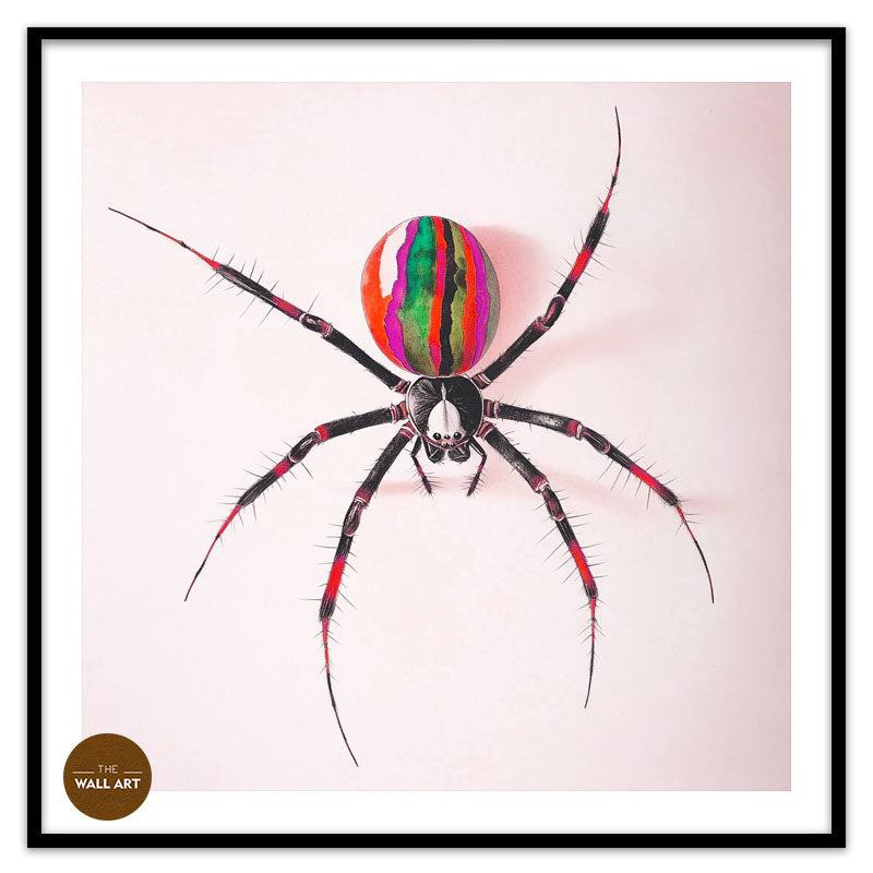 RAINBOW SPIDER