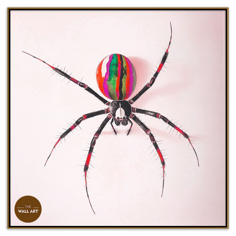 RAINBOW SPIDER