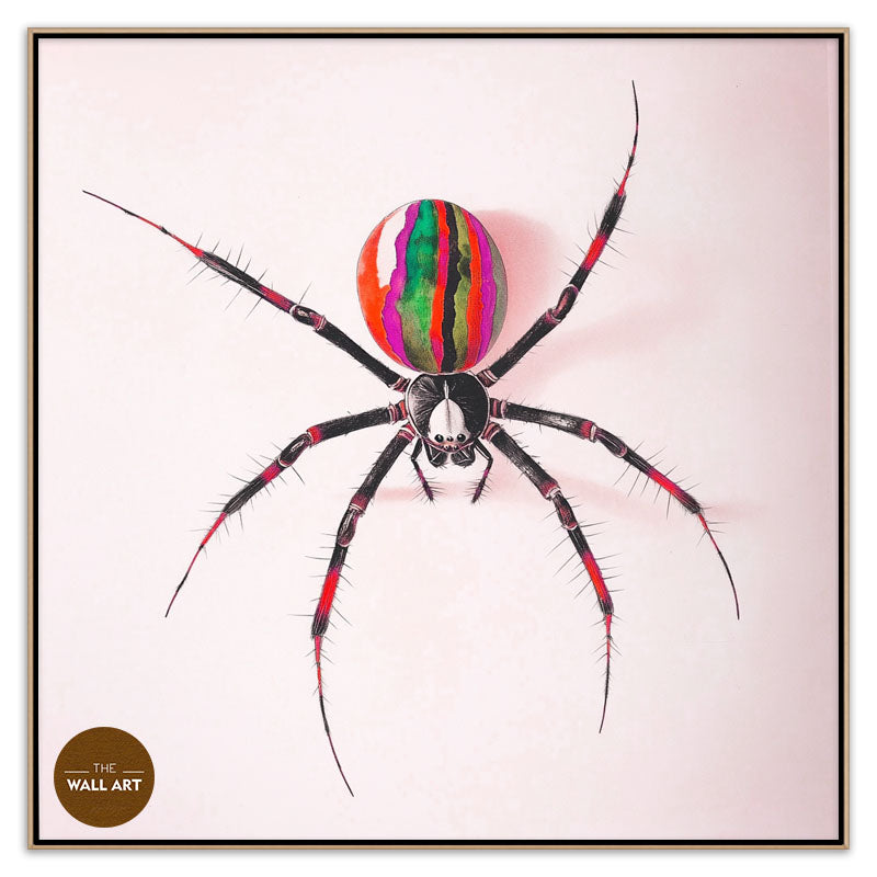 RAINBOW SPIDER