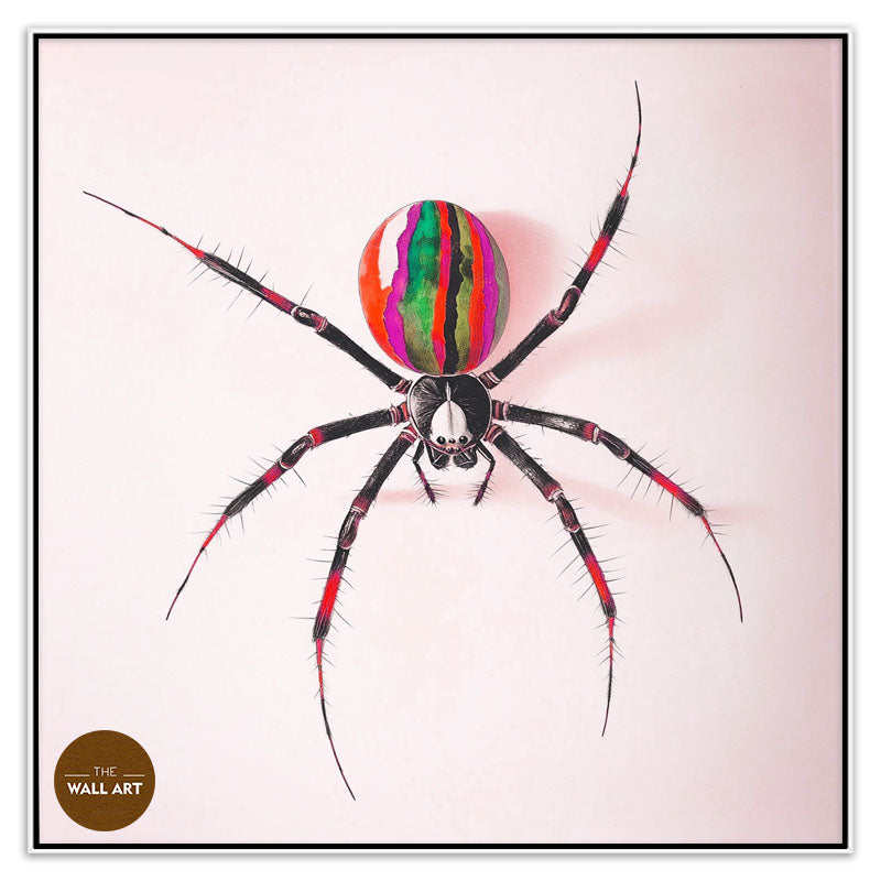 RAINBOW SPIDER