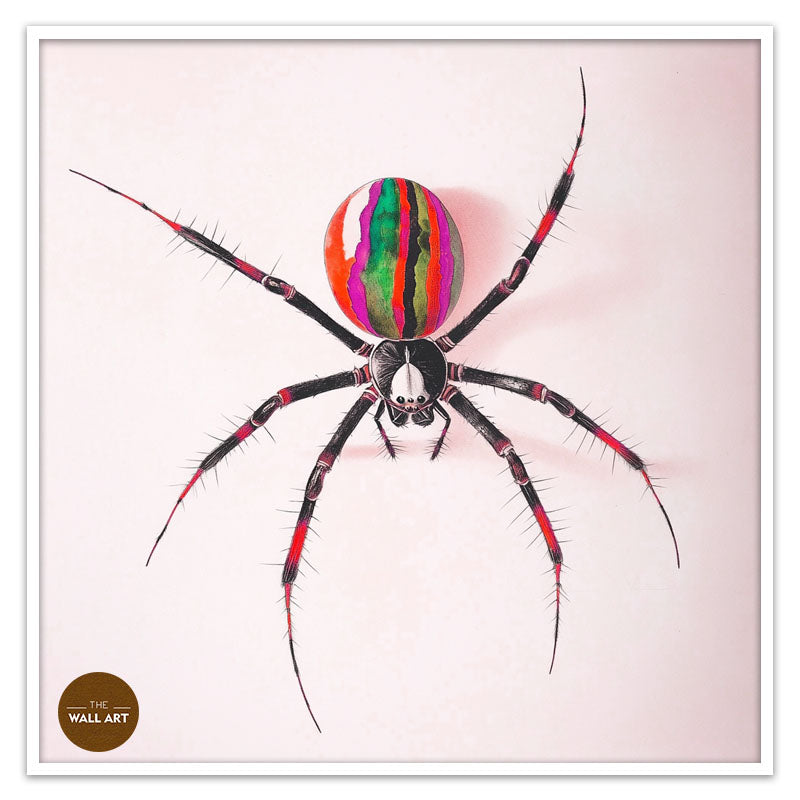 RAINBOW SPIDER