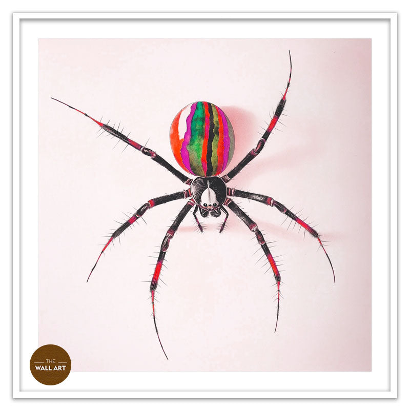 RAINBOW SPIDER