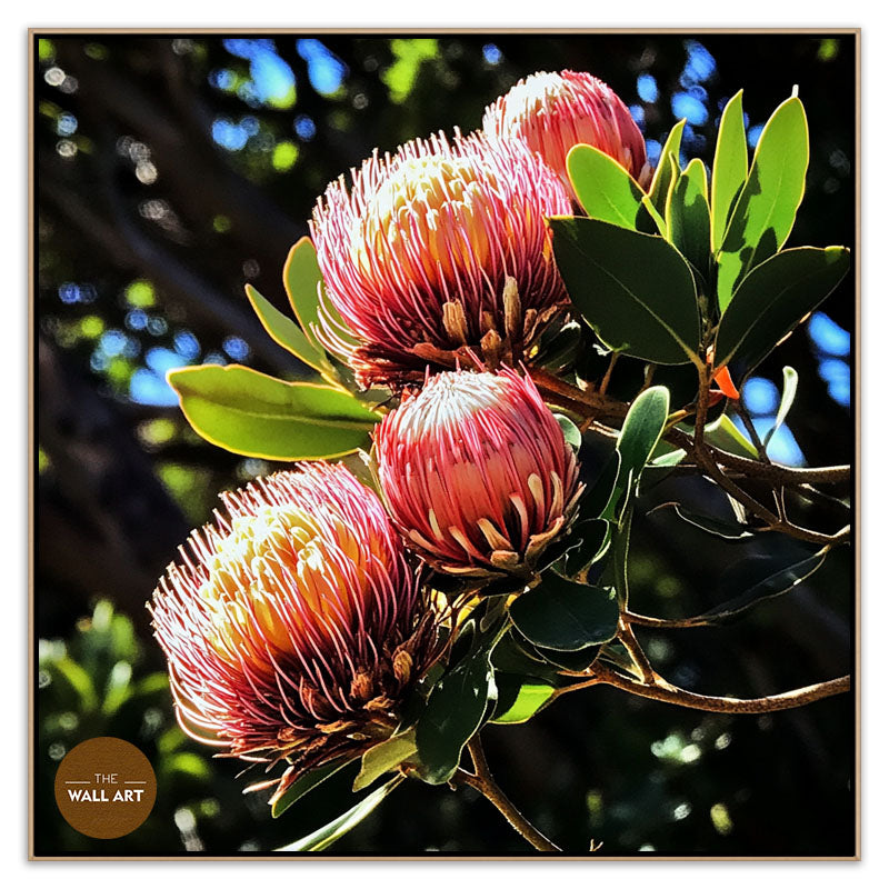 RED PROTEA FLOWERS