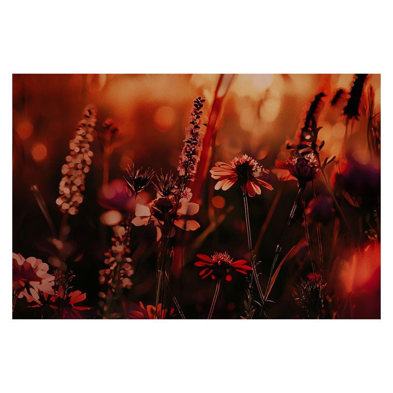 RED SUNSET II
