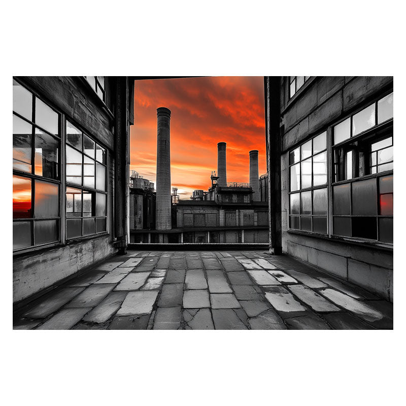 RED VIEW I