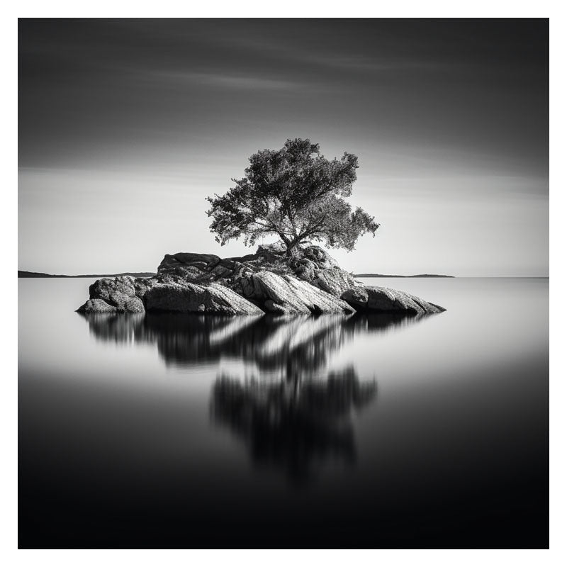 REFLECTION OF LONELINESS I