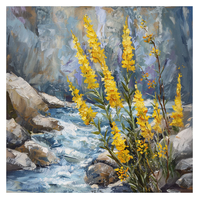 ROCKY STREAM