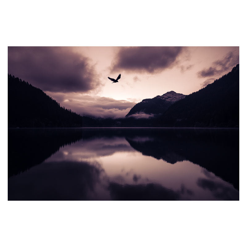 SERENITY IN FLIGHT