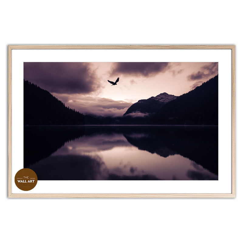 SERENITY IN FLIGHT