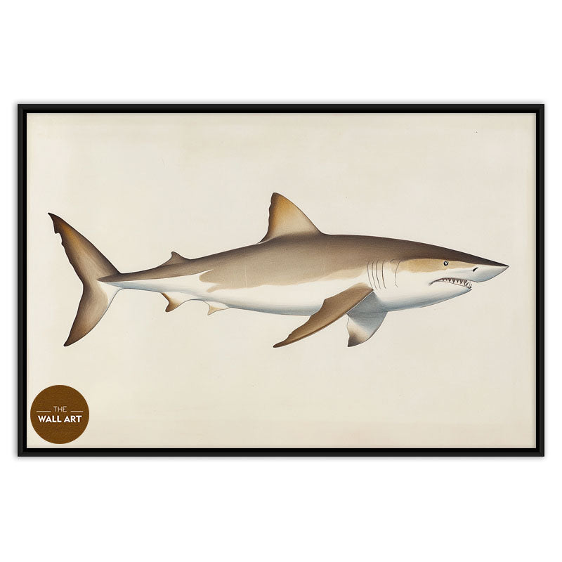 SHARK II