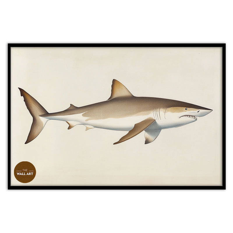 SHARK II