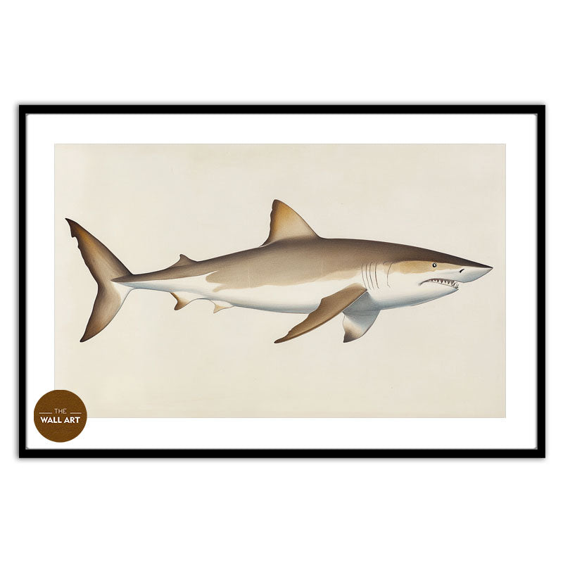 SHARK II