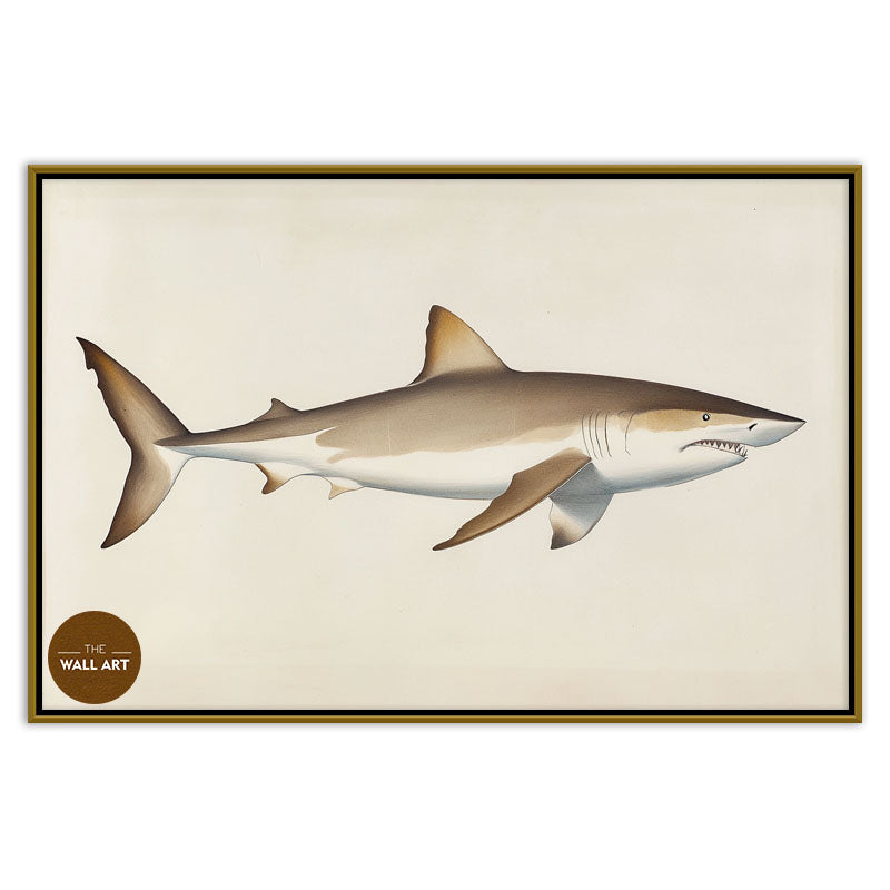 SHARK II
