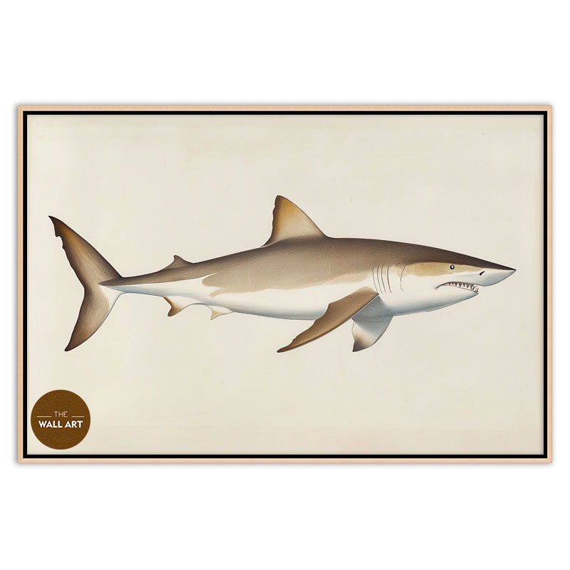 SHARK II