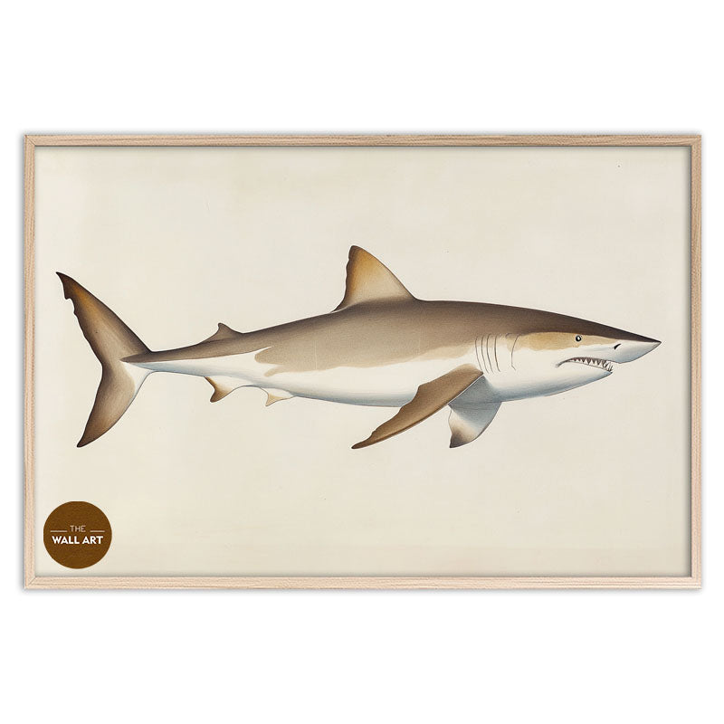 SHARK II