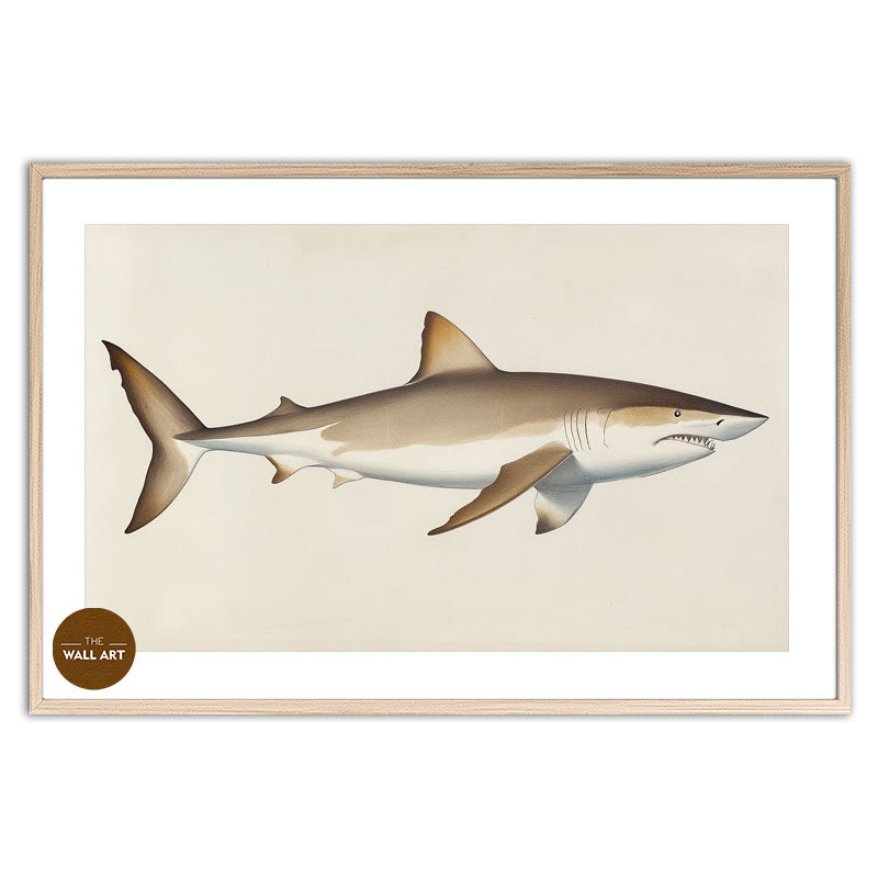 SHARK II