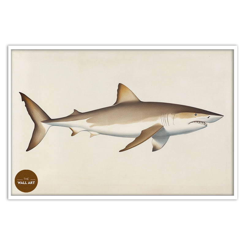 SHARK II