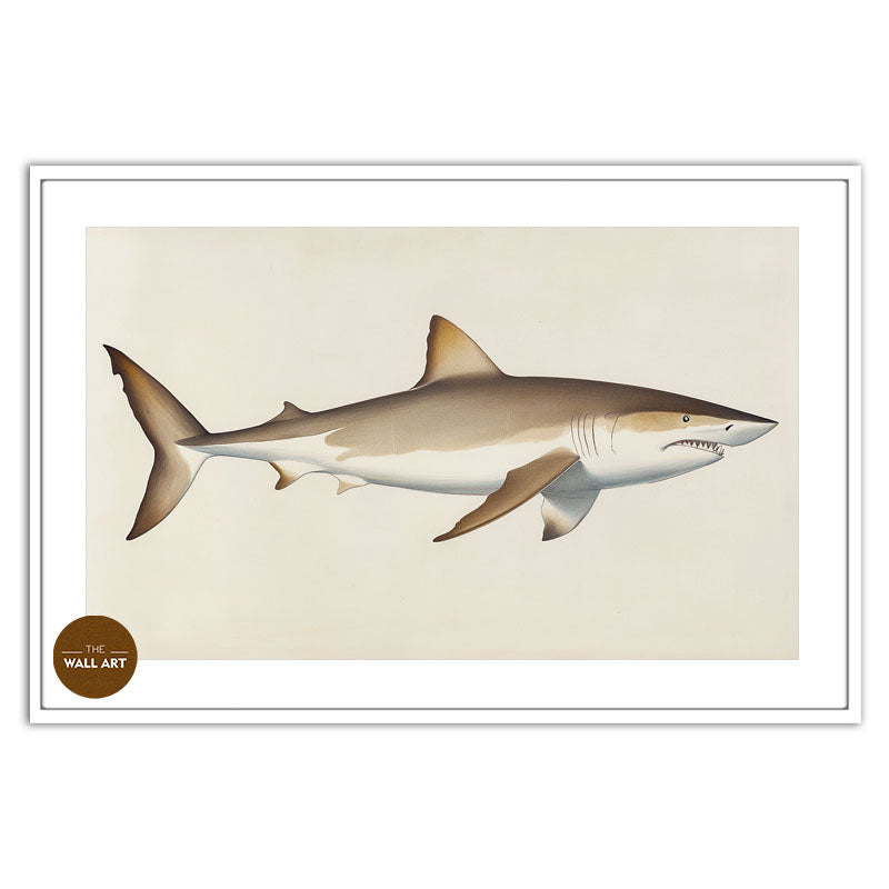 SHARK II